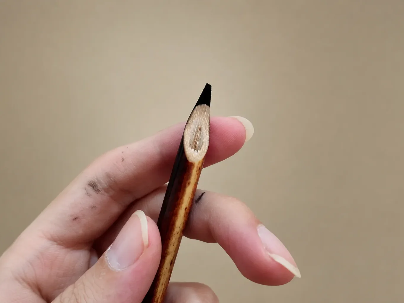 Reed calligraphy pen with a cut nib dipped in ink, held between the fingers